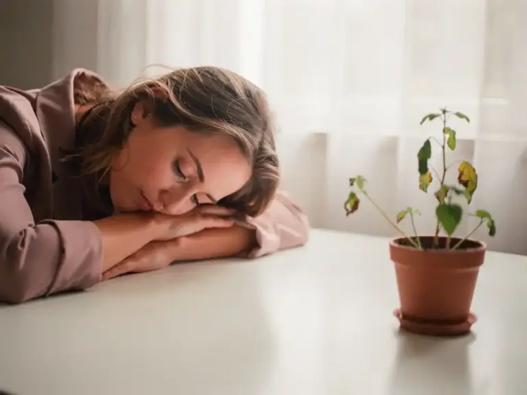 Exhausted woman resting her forehead on folded arms at a white desk, beside a wilting plant showing new growth in soft morning light.